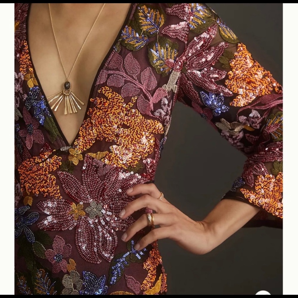 NWT Anthropologie Embroidered Mini Dress